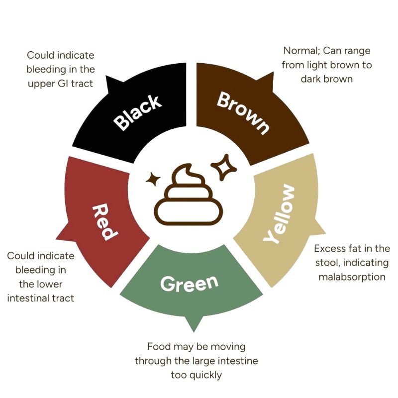 stool color indication