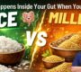 rice vs millets 90x80