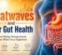 heatwaves and gut health 90x80